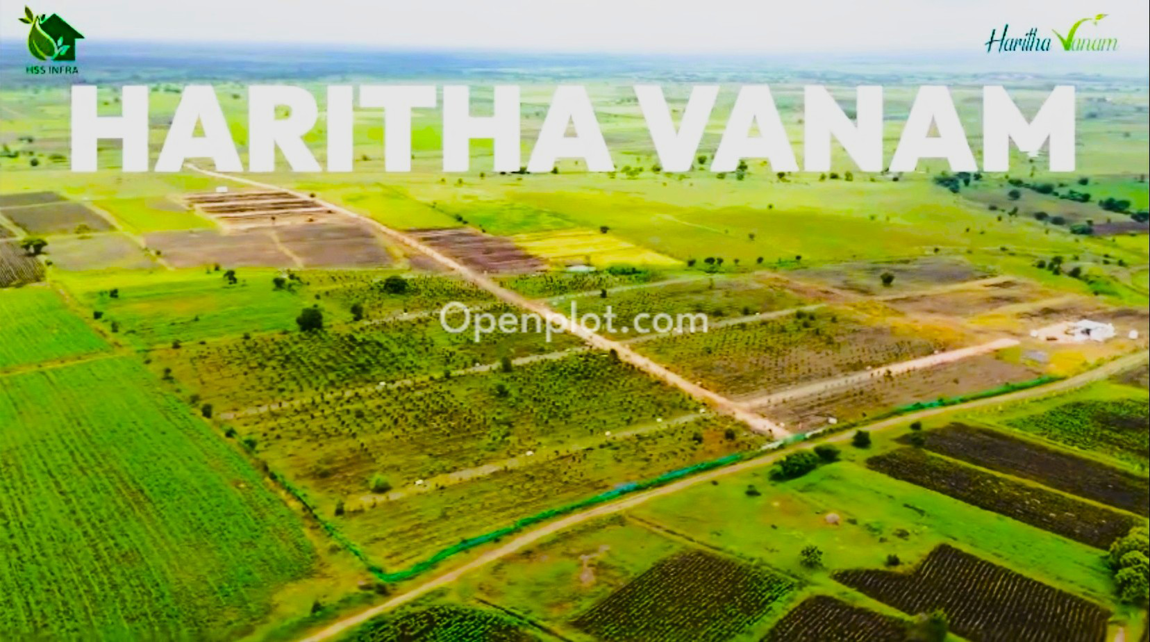 Plot for Sale in Narayankhed,Sangareddy